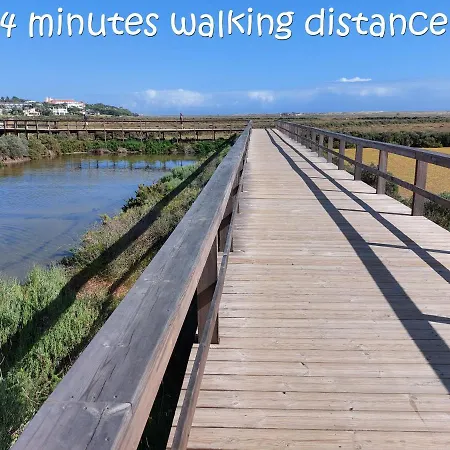 Ancao المانسيل