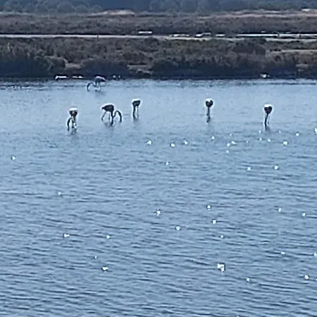 Appartement Ancao Almancil